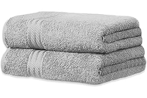 Bentley Priory Linens Hand Towels (2 PACK) for Bathroom Supreme Range 500GSM Super Soft Egyptian Collection Pack of 2 Absorbent and Quick Dry Hand Towels Set 50 x 85cm (LIGHT GREY SILVER)