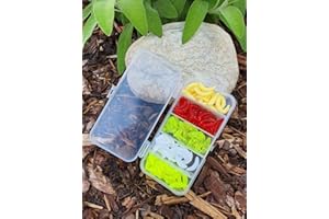 MiTho-Store 100 stück Kunstmaden in Einer stabilen Box, Angeln, Angelköder, Fischen, Forellenangeln, Spoonangeln, Maden, Naturgetreu