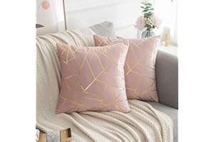 ETOLISHOP Federe per Cuscini in Velluto 50x50 Federe Cuscini Divano Rosa Copricuscini Divano Oro Linee Geometrica Decorativi Quadrati Moderni Federe per Cuscino per Soggiorno Camera Patio Balcone Set di 2