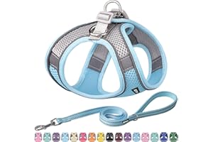AIITLE Bequemes Hundegeschirr und Leine Set für Spaziergänge - Step in Vest Harness, Reflektierende Bänder, Einstellbare No Pull Puppy Essentials, für kleine Hunde und Hauskatzen Blau XS