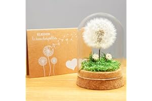 YOBEYO Wunscherfüller Pusteblume im Glas - Besondere Geschenkidee, Geburtstagsgeschenk für Frauen, Glücksbringer und Kleinigkeit für Freundin, Deko Geschenke im Glas, Blumen Geschenk