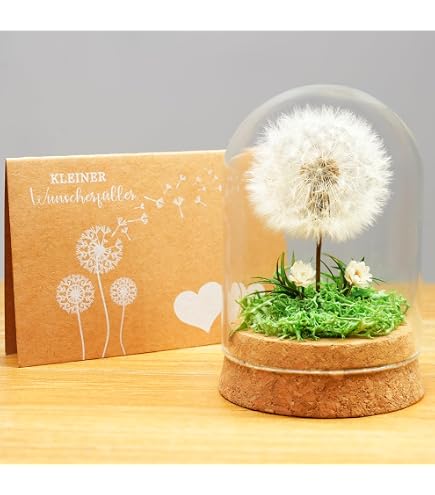Blaue Pusteblume Im Glas – Handgefertigt, Echt, Mit Wunschkärtchen – Geschenk In Box Für Frauen, Zur Jugendweihe, Geburtstag & Valentinstag