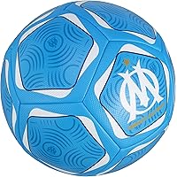 Pennello Per Acquerello Winsor & Newton - Martora Kolinsky, Manico Corto, Tondo N. 5 - Foto 4