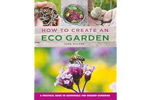 How to Create an Eco Garden: The Practical Guide to Sustainable and Greener Gardening
