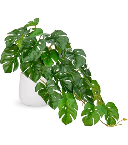 Amazon.de: Knstliche Zimmerpflanze Grnlilie im Topf Chlorophytum  Wasserlilie Spinnenpflanze Spinnenlilie Hngepflanze Kunstpflanze Hngend  Plastikpflanze Unechte Hochzeit Deko Seidenpflanze Seidenblume