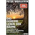 Das geheime Leben der Bäume: Was sie fühlen, wie sie kommunizieren – die Entdeckung einer verborgenen Welt