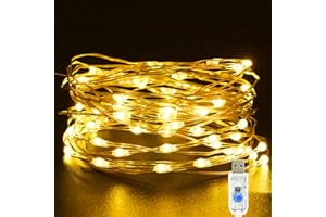 Etopgo USB Fairy Lights 5M/16Ft 50 LED Christmas Fairy Lights 8 Lighting Modes Twinkle Fairy String Lights for Indoor, Outdoor, Bedroom,Party (Warm White)