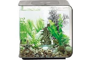 biOrb 72029 FLOW 15 LED, schwarz – elegantes Design-Aquarium | Komplett-Set mit Filter-System, LED-Beleuchtung, Boden-Kies und Luftausströmer aus widerstandsfähigem Acryl-Glas