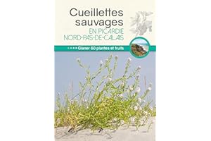 Cueillettes sauvages en Picardie-Nord-Pas-de-Calais (0)