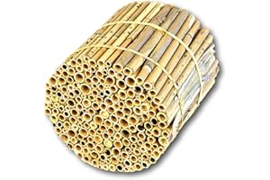 BeeCasa by Hiss Reet® Schilfrohrhalme MEDIUM | Naturbelassener Bund | Insektenhotel & Bienenhotel Füllmaterial | Niströhren & Nisthülsen für Wildbienen