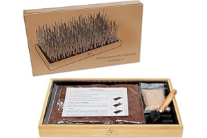 Pfotenolymp Herbe à Chat avec Cadre en Bambou - Set Herbe à Chats Plante - Set De Plantes Prêt à l'emploi avec Graines d'herbe De Blé Et Terre De Voco - Bac d'herbe à Chat.