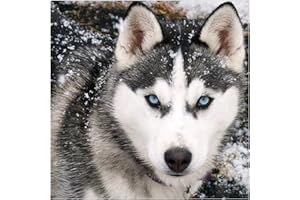 MXJSUA Diamond Painting, Diamond Painting Bambini, Diamond Painting Kit Completo, Pittura Diamante, Lupo Diamond Painting, DIY Diamant Painting, Craft Arts per Decorazione della Parete 30x30cm