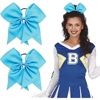 DIUEWOW Regenbogen-Cheer-Schleifen Mit Pferdeschwanz-Halter – 2er Set, Perfekt Für Pride Day, Schule & Sportevents