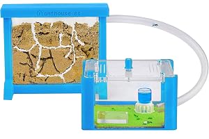 Azzurro Chiaro