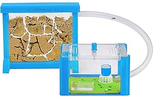 AntHouse - Natürliche Ameisenfarm aus Sand | 3D Basic Set (Sandwich + Futterbox) Himmelblau | Inklusive Ameisen