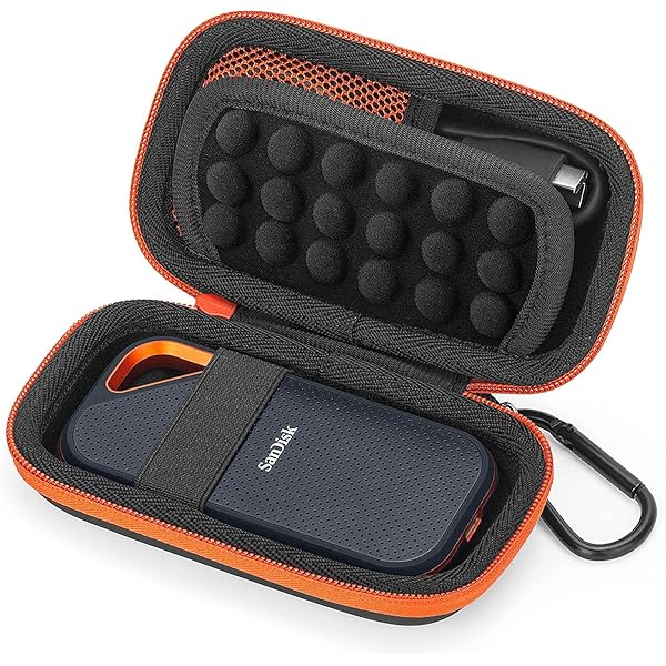 SanDisk Extreme PRO Portable SSD externe SSD 1 TB grau: Amazon.de 