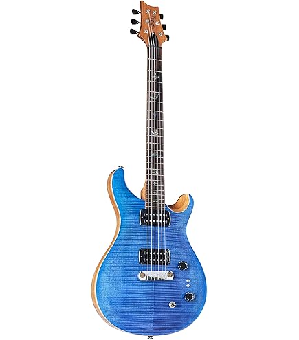 ギター PaulReedSmith Holcomb Blue Burst prs-blueburst-c1__wwg.jpg