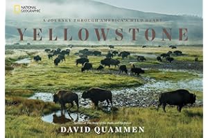 Yellowstone: A Journey Through America's Wild Heart