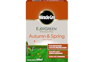 Miracle-Gro EverGreen Premium Plus Autumn & Spring Lawn Food 2 kg - 100 m2, Green