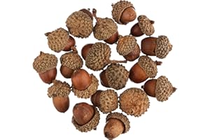 Baker Ross Bellotas naturales (Pack de 50)