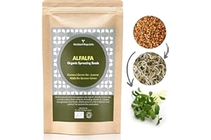 Verdant Republic Organic Alfalfa Sprouting Seeds 250g| Non-GMO, Rich in Nutrients | Easy to Sprout in 4 Days| High Germination into Microgreens