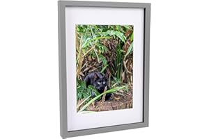 Nicola Spring 3D Shadow Box Frame - Grey A3 Frame (30 x 42cm) - White A4 Mount (20 x 30cm) - Pack of 1-3D 3D Photo Picture Box Portrait Display Case Wedding Crafts Frame