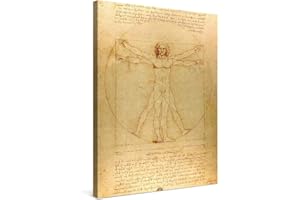 PICANOVA – Leonardo da Vinci – Homme de Vitruve 60x80cm – Photo sur Toile – Impression sur Toile Haut de Gamme – Image sur Toile pour Décoration Murale Moderne – La Collection Art Classique
