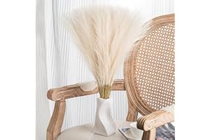 Leuyuee 30 erba di pampa bianca – 55 cm finta erba di pampa decorazione artificiale alta erba di pampa per matrimonio, composizione floreale, decorazione per feste, Natale e casa