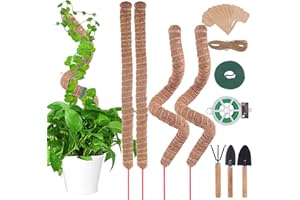 Aotfusd 4 Stück Pflanzenstab Moosstab, 70cm, Monstera Rankhilfe für Pflanzen, Pflanzenstab, Moss Pole Aus Kunststoff für Kletterpflanzen Pflanzenname Pflanzzeit Pflanzenunterstützung