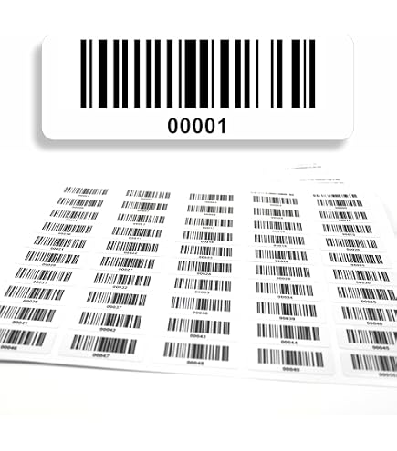 100 targhe di prova per DGUV V3 prescrizione 3 – 30 mm – 2025 – 2030 – sostenibili – verde – Prossimo test 2024 (100 pezzi, verde