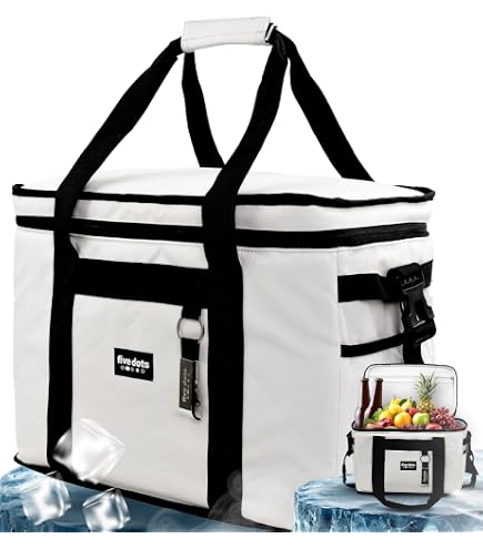 Sac Isotherme Repas Diealles Shine 20L - Avec Décapsuleur - Sac Pique-Nique Étanche - Portable