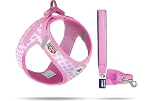 Vest Harness curli Clasp Air-Mesh Pink-Circles S & Leash M