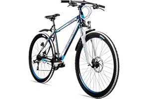 ‎BERGSTEIGER Bergsteiger Canberra 26, 29 Zoll Mountainbike, Aluminium Rahmen, Scheibenbremsen, Hardtail MTB mit Licht & Schutzblech, 21 Gang-Schaltung, Gabel-Federung, geeignet ab 160 cm