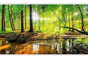 murando - PREMIUM Fototapete XXL Wald 500x280 cm Vlies Tapeten Wandtapete XXL Moderne Wanddeko Design Wand Dekoration Wohnzimmer Schlafzimmer Büro Natur Baum grün Landschaft Sonne