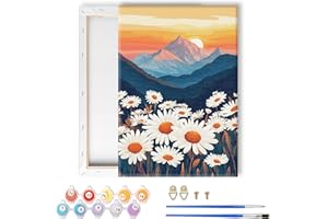 LOMSIOY Peinture par Numéros pour Adulte avec Cadre, Marguerites DIY Peinture Acrylique pour Adultes Débutants, Paysage Kit de Peinture à l'huile sur Toile pour Décoration Murale Maison 20x30cm