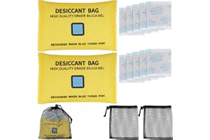 Noosverl 2-pack 200 g, 10-pack 10 g bilavfuktare, lämplig för bil och hem, mot dimma och fukt, återanvändbar bilavfuktare