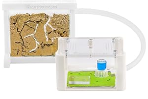 AntHouse - Formicaio Naturale di Sabbia | Kit Base 3D (Sandwich + Cassa di Foraggiamento) Bianco | Formiche Incluse