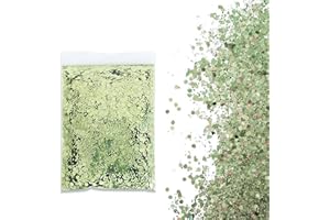 SHUOHONG 100g Glitter, Bene Brillantini Viso, 3 Taglie Miste Brillantini Unghie, Lucido Paillettes, Brillantini per Capelli, Glitter Corpo per Musica, Feste, Trucco del Festival (Verde Chiaro)