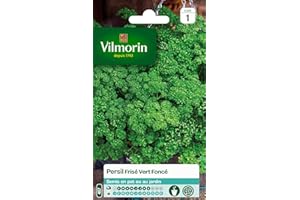 Vilmorin - Persil frisé Vert foncé - Aromatique incontournable- Culture en Pot ou Jardin - apports nutritifs intéressants -Culture Facile - rendement jusqu'à 2x2m
