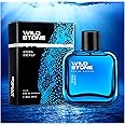 Wild Stone Hydra Energy Premium Eau De Parfum for Men,100ml|Long Lasting Perfume|Luxury Wild Stone perfume 100 ml (Pack of 1)