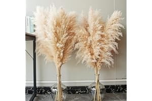 BANNIFLL 10 pezzi di erba di pampa grande, erba di pampa XXL,grande decorazione di erba di pampa per la decorazione boho del salotto, del tavolo, della camera da letto, del bagno e per matrimoni (100 cm)