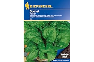 Kiepenkerl Spinatsamen Matador, Vorteilspack groß 271 – Breitblättrig, spätschießend. Eignet sich sowohl für die Frühjahrs- als auch für die Herbstaussaat. Spinat, Gemüse, Gemüsesamen