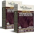 byPureNaturals 100% Organic Hair Colour Powder 9BG Burgundy 120gm- Pack of 2 | Safest Beard Colour for Men | Natural Hair Colour for Women & Men