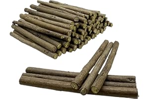 Woohome 120 pezzi Bastoncini Di Legno Per Artigianato，Naturale Di Ramoscelli Artigianato，Fai da Te Ramoscelli Decorativi Oggetti，di Legno Secchi Arti Foto Oggetti di Scena, Rami Ramoscelli Decorativi