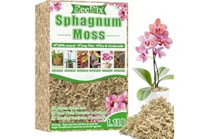 ZeeDix 500g Sphagnum Moos für Pflanzen, Natürliches Langfaser-Sphagnum-Torfmoos in Großpackung für fleischfressende Pflanzen, Orchideen, Sukkulenten und Reptilien (40L hydratisiert)