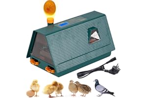 MASXIRCH 10 Incubatrice per Uova con Rotazione Automatica Delle Uova e Controllo Dell'Umidità, Incubatrice di Uova di Gallina per la Schiusa di Uova di Gallina-Anatra-Quaglia-Uccello