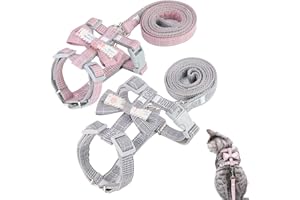 QAZRFVPXF ArnéS de Nailon Ajustable Gatos Arnes Gatos Correa Cuerda para Caminar de Gato para Gatos PequeñOs Perros Mascotas Caminar ADL Aire Libre Ejercicio Trotar Actividades Recreativas (PequeñO) 2 Piezas