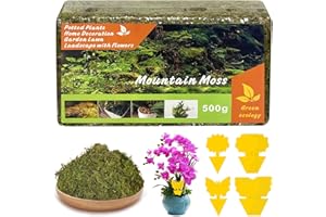 SUNOYA Sphagnum Musgo para plantas, 500 g de musgo para orquídeas con 20 pegatinas amarillas de mosquitos llorones, musgo natural de orquídeas, musgo sphagnum para macetas, moso de espaghnummoss para