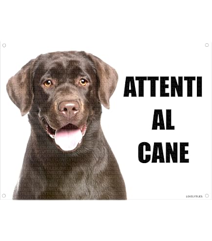 Patentino per proprietari di cani a Cremona piu' di 1000