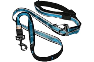 Kurgo Laisse Mains Libres Quantum 6 en 1 pour Chien, Ceinture/Laisse de Course, Marche ou randonnée, Réglable, Réfléchissante, Bleu/Noir